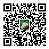 除塵設(shè)備_脫硝脫硫設(shè)備_污水處理_煙氣粉塵治理_唐山鉑銳環(huán)?？萍加邢薰?/></div>
      <!--二維碼結(jié)束-->
      <div   id=